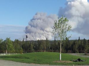 20150519FRHorseTrail03