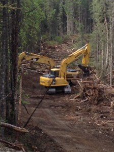 20140619KenaiRiverArea3