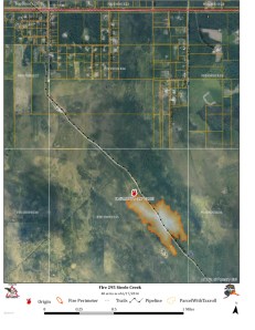 Fire 295 Steel Creek_20140617_1540