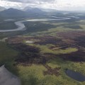 Brown and black burn from the Noatak Fire Fire