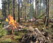 Wildland fire staff burn piles in Wrangell-St. Elias National Park and Preserve.