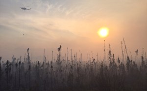 Fire 155 Seaton Roadhouse Fire, May 20, 2015 Alaska Division of Foreestry photo
