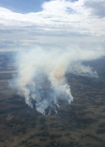 #228 Whitefish Lake 2 and #229 Whitefish Lake 1 fires on Monday, June 1, 2015. Division of Forestry photo