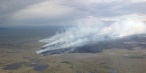 The Bogus Creek fire on Wednesday, June 3, 2015. Alaska Division of Forestry photo