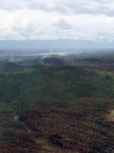 The Chisana River 2 Fire burns Friday, June 12, 2015, 20 miles south of the Alaska Highway near the Canadian border. The fire is currently burning in a limited protection area of the Wrangell-St. Elias National Park and Preserve and the Tetlin National Wildlife Refuge. Jerry Hill/Tetlin National Wildlife Refuge