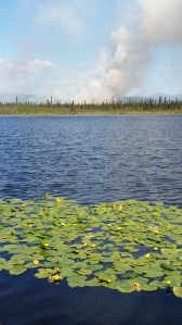 Smoke rises from the Tanana Slough Fire burning northwest of the community of Dot Lake on Monday 15, 2015. Don York/Alaska Division of Forestry