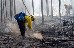 Members of the Fairbanks #1 crew mop up along the perimeter of the Tetlin River Fire on Monday, June 20, 2016. Photo by Sam Harrel/Alaska Division of Forestry