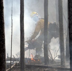 Members of the Fairbanks #1 crew mop up along the perimeter of the Tetlin River Fire on Monday, June 20, 2016. Photo by Sam Harrel/Alaska Division of Forestry