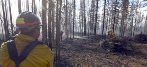 Fairbanks #1 crew boss Kias Peter keeps an eye on his crew as they mop up along the perimeter of the Tetlin River Fire on Monday, June 20, 2016. Photo by Sam Harrel/Alaska Division of Forestry