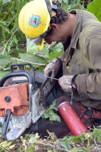 A member of the Tahoe Hotshots takes a moment after a lunch break to sharpen his saw Thursday, July 21, 2016. He was a part of a squad cutting a saw line along the left flank of the McHugh Fire burning just south of Anchorage. The firefighters are working in steep, rocky terrain littered with large downed trees. Sam Harrel/Alaska Division of Forestry