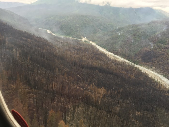 The Steamboat Creek Fire smoldered near the Chakina River.