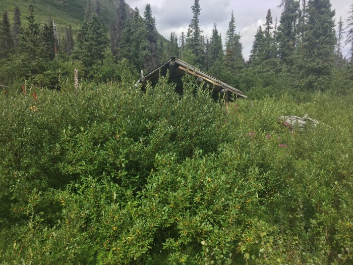 Monohan Cabin Before Firewise 