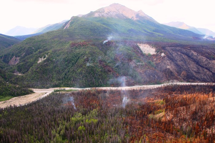 The Steamboat Creek Fire smolders near the confluence of the Klu and Chakina Rivers. Photo Credit: Jamie Hart, National Park Service