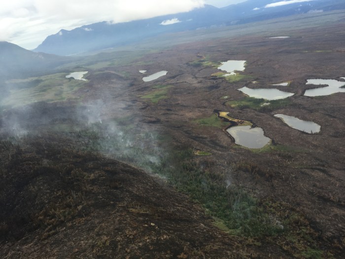 The Steamboat Creek Fire burned unevenly across the landscape and left some areas unburned.