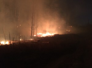 An early-morning photo of the Moose Creek Fire near Sutton. Firefighters from the Alaska Division of Forestry and local fire departments are working to contain the blaze, which was reported at 2:10 a.m. Alaska Division of Forestry photo