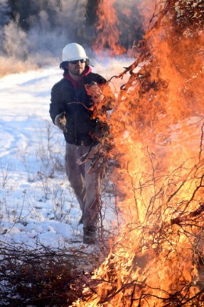 Bureau of Land Management Alaska Fire Service specialist Brian Pitts throws more wood on burning piles of brush as part of a prescribed burn project in U.S. Army Alaska’s Donnelly Training Area near Fort Greely Nov. 4, 2016. The piles were created by U.S. Army Alaska hand crews working to remove dead and decaying vegetation and black spruce in an effort to reduce the chances of a wildfire on military lands