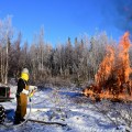 Bureau of Land Management Bureau of Land Management Alaska Fire Service specialist Matt Kilgriff shoots a stream of flaming gel from the Terra Torch to burn piles of brush and trees as part of a prescribed burn project in U.S. Army Alaska’s Donnelly Training Area near Fort Greely Nov. 4, 2016. The piles were created by U.S. Army Alaska hand crews working to remove dead and decaying vegetation and black spruce in an effort to reduce the chances of a wildfire on military lands. AFS provides wildland fire management for 1.6 million acres of military withdrawn public land under an interagency service agreement with U.S. Army Alaska. (Army photo/John Pennell)