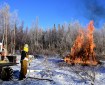 Bureau of Land Management Bureau of Land Management Alaska Fire Service specialist Matt Kilgriff shoots a stream of flaming gel from the Terra Torch to burn piles of brush and trees as part of a prescribed burn project in U.S. Army Alaska’s Donnelly Training Area near Fort Greely Nov. 4, 2016. The piles were created by U.S. Army Alaska hand crews working to remove dead and decaying vegetation and black spruce in an effort to reduce the chances of a wildfire on military lands. AFS provides wildland fire management for 1.6 million acres of military withdrawn public land under an interagency service agreement with U.S. Army Alaska. (Army photo/John Pennell)