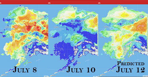This graphic shows the Fine Fuel Moisture levels in Alaska for July 8, today and predicted for July 12 as provided by the Alaska Fire & Fuels Meso West weather information program.