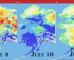 This graphic shows the Fine Fuel Moisture levels in Alaska for July 8, today and predicted for July 12 as provided by the Alaska Fire & Fuels Meso West weather information program.