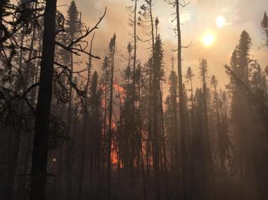 Firefighters continue to put in containment line around the Chistochina River Fire (#381) burning near 36.5 Tok Cutoff. Photo by Zack Horner//Alaska Division of Forestry