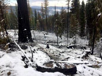 Snow covered the ground where Alaska emergency firefighters from the Upper Tanana #2 crew were working on the Caribou Fire on Sept. 19, 2017. Photo by Neal Charlie//Alaska Division of Forestry