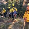 Members of the Type 2 EFF Upper Tanana #2 Crew line up to grid for hot spots on the Caribou Fire near the Canadian Border on Sept. 11, 2017. Photo by Neal Charlie//Alaska Division of Forestry
