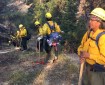 Members of the Type 2 EFF Upper Tanana #2 Crew line up to grid for hot spots on the Caribou Fire near the Canadian Border on Sept. 11, 2017. Photo by Neal Charlie//Alaska Division of Forestry