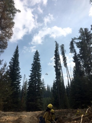 Members of the Type 2 EFF Upper Tanana #2 crew watch a CL415 water scooper fly above while working on the Caribou Fire on Sept. 16, 2017. Photo by Neal Charlie//Alaska Division of Forestry
