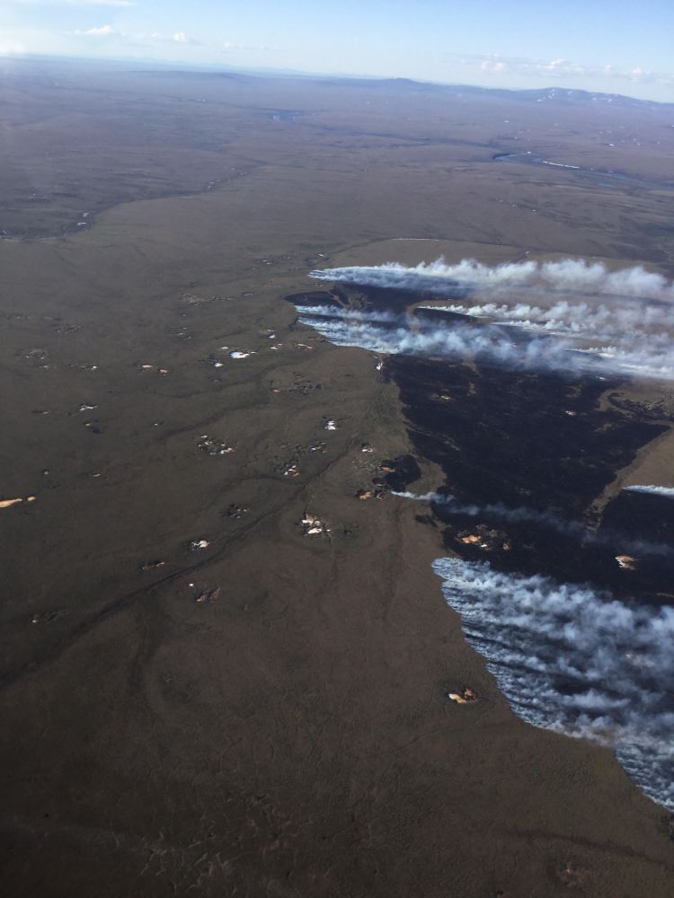 The 875-acre Fairhaven Creek Fire is burning in tundra south of Buckland. Photo by Ryan McPherson, BLM AFS