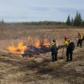 Firefighters conduct a test burn to see if fuels are receptive to burning before doing a prescribed fire on the Small Arms Complex east of Fairbanks. Photo by Chris Demers, BLM AFS