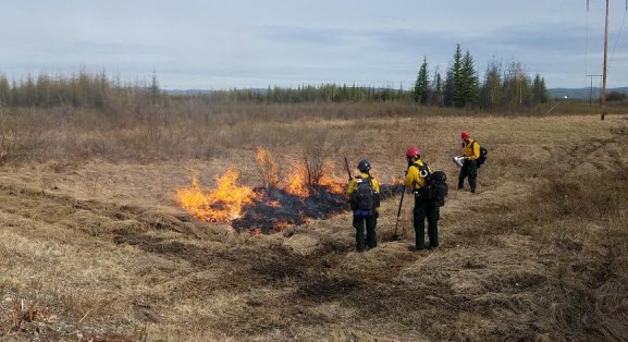 Firefighters conduct a test burn to see if fuels are receptive to burning before doing a prescribed fire on the Small Arms Complex east of Fairbanks. Photo by Chris Demers, BLM AFS