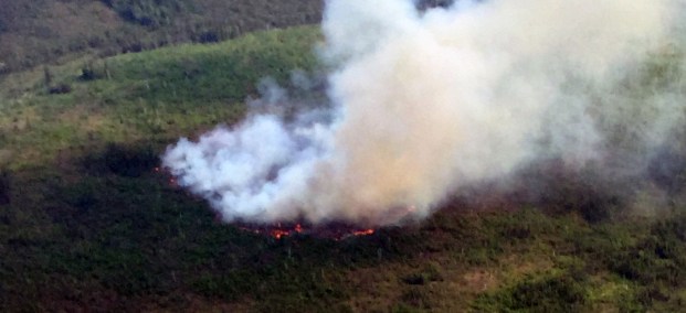 The Dome Creek Fire (#361) is burning in the Yukon-Charley Rivers National Preserve near several structures including cabins left from the Gold Rush days. Photo by Dustin Wessel, BLM AFS.
