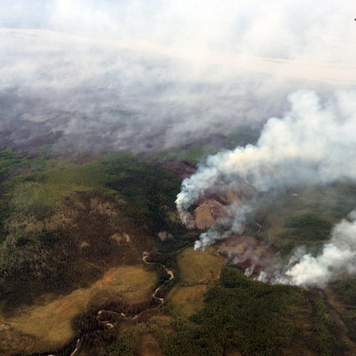 The Andrew Creek Fire (#366) is burning near the confluence of the Sam Creek and Yukon River in the Yukon-Charley Rivers National Preserve on July 26, 2018. Photo by Branden Petersen, BLM AFS