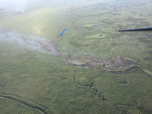 The Applevunk Fire is burning about 10 miles west of Chalkyitsik and has not changed much since this photo was taken on July 2, 2018. Photo by John Lyons, BLM AFS