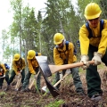 Photo of federal emergency firefighters candidates going through rookie training provided by BLM Alaska Fire Service in the spring of 2018.