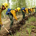 Photo of Emergency firefighter candidates learning how to dig line during BLM AFS rookie school in May 2018.