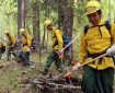 BLM Alaska Fire Service emergency firefighters learn how to grid, meaning searching an area in a straight line, to find hot spots during rookie training in 2018. Photo by Beth Ipsen, BLM AFS