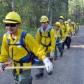 Photo of rookie firefighters learning to organize as a crew during BLM AFS rookie school in May 2016.