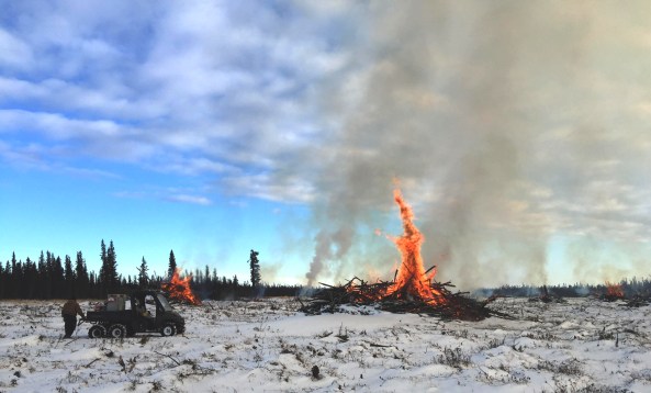 Photo of an AFS firefighter using a Terra torch mounted on a six-wheeled UTV to burn woody debris piles.