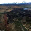 A burnout slopped over the containment line on Monday, but has also created a larger black buffer to prevent the Oregon Lakes Fire from progressing north as the summer progresses. Photo by Karen Scholl, BLM AFS