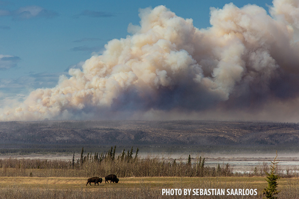 Photo of Smoke the Oregon Lakes Fire burning south of Delta Junction drifted into neighboring communities Tuesday afternoon. Photo courtesy Delta Junction resident Sebastian Saarloos.
