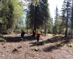 Photo of three firefighters walking a protection line constructed in the Richardson Clearwater community north of the Oregon Lakes Fire on June 3, 2019.
