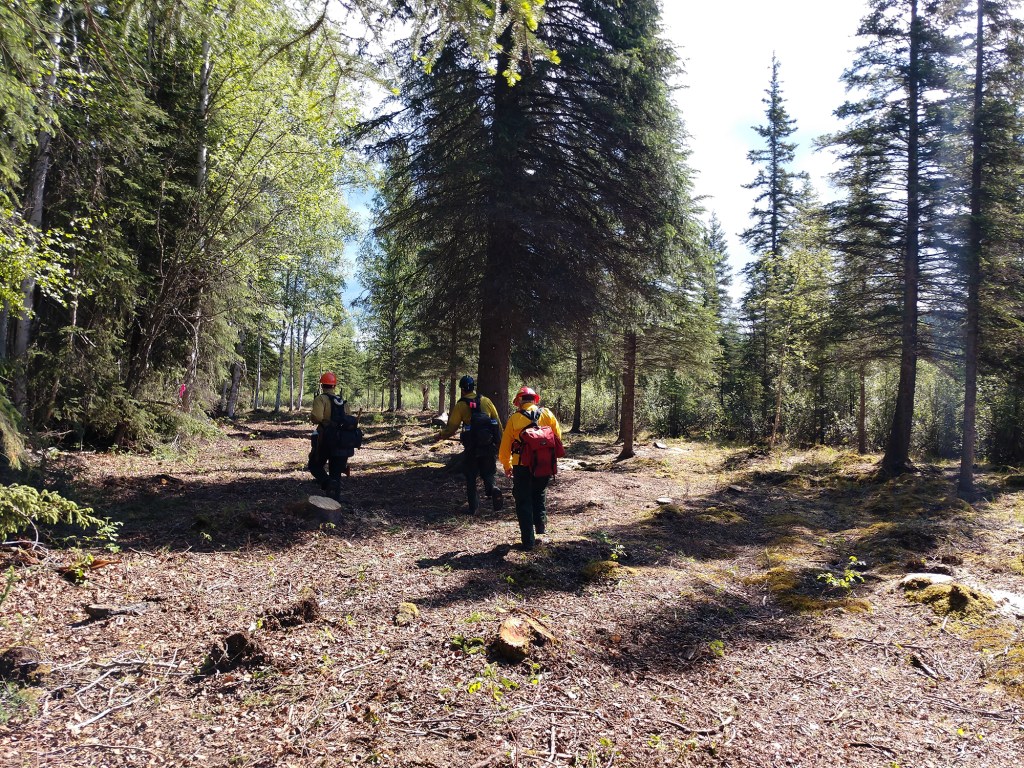 Photo of three firefighters walking a protection line constructed in the Richardson Clearwater community north of the Oregon Lakes Fire on June 3, 2019.