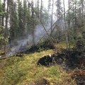 This photo illustrates the deep tundra firefighters are working in and how deep the fire is burning on the Caribou Creek Fire east of Fairbanks. Photo by Thomas Krock/Alaska Division of Forestry