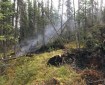 This photo illustrates the deep tundra firefighters are working in and how deep the fire is burning on the Caribou Creek Fire east of Fairbanks. Photo by Thomas Krock/Alaska Division of Forestry