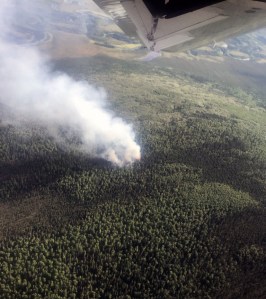 A photo of the Hayes Creek Fire (#301) taken by smokejumpers prior to deploying on the fire approximately 20 miles northwest of Fairbanks on Thursday, June 20, 2019. Photo by Chris Dudley/Alaska Smokejumpers 