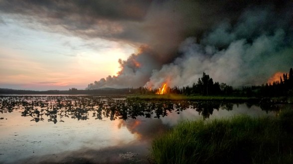 Back burning supported by boat operations on Watson Lake.
Photo Courtesy: Jessica St. Laurent/BLM Alaska Fire Medic