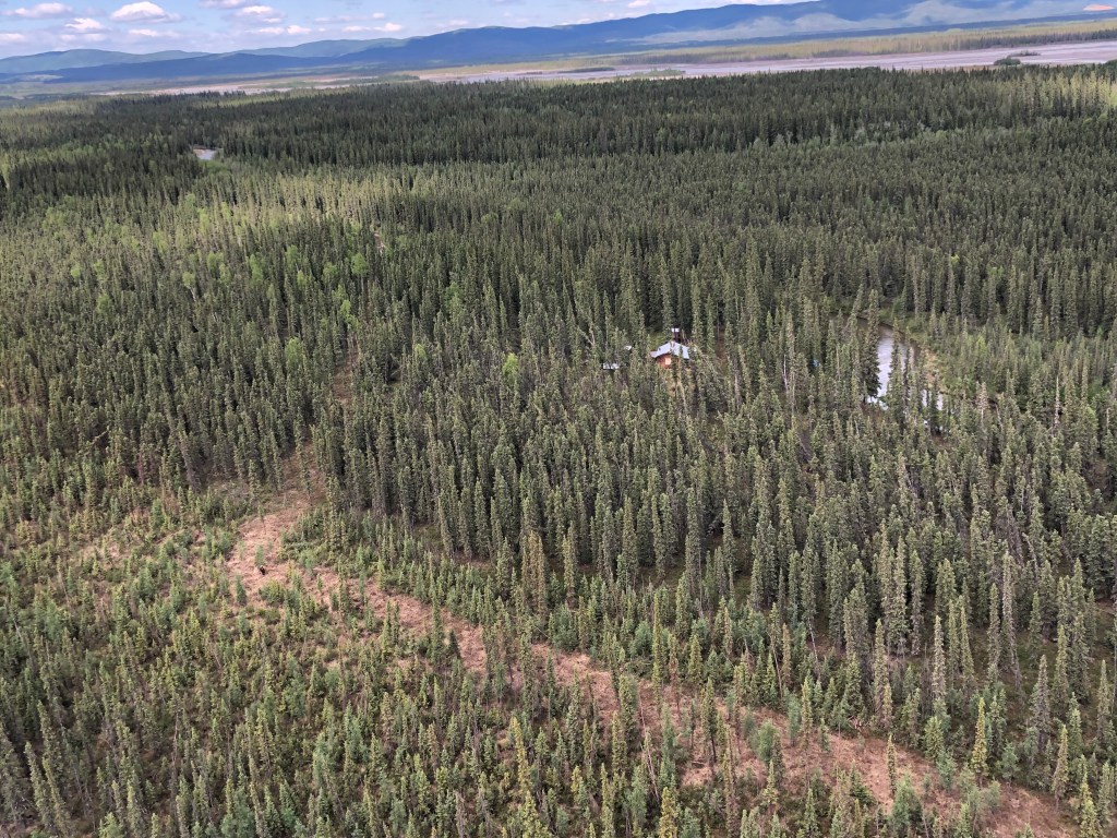 Wherever possible, firefighters are using natural features with sparse vegetation to locate the protection lines. The goal is to create shaded fuelbreaks, which involves selectively thinning and removing more flammable understory vegetation while leaving the majority of larger, more fire tolerant tree species in place.