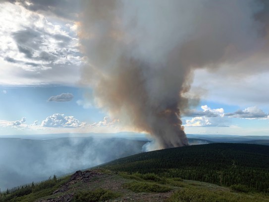 A photo of the smoke column from the Shovel Creek Fire burning 3 miles north of Muyrphy Dome.